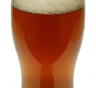 Fat Tire